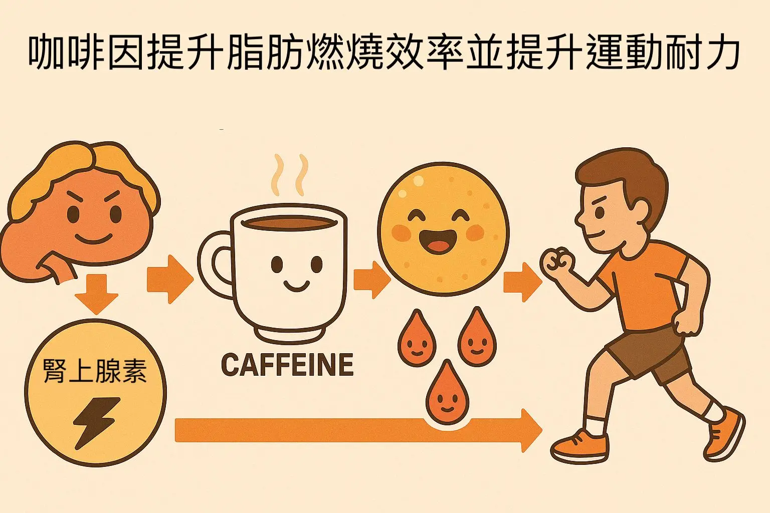 咖啡因提升脂肪燃燒效率並提升運動表現