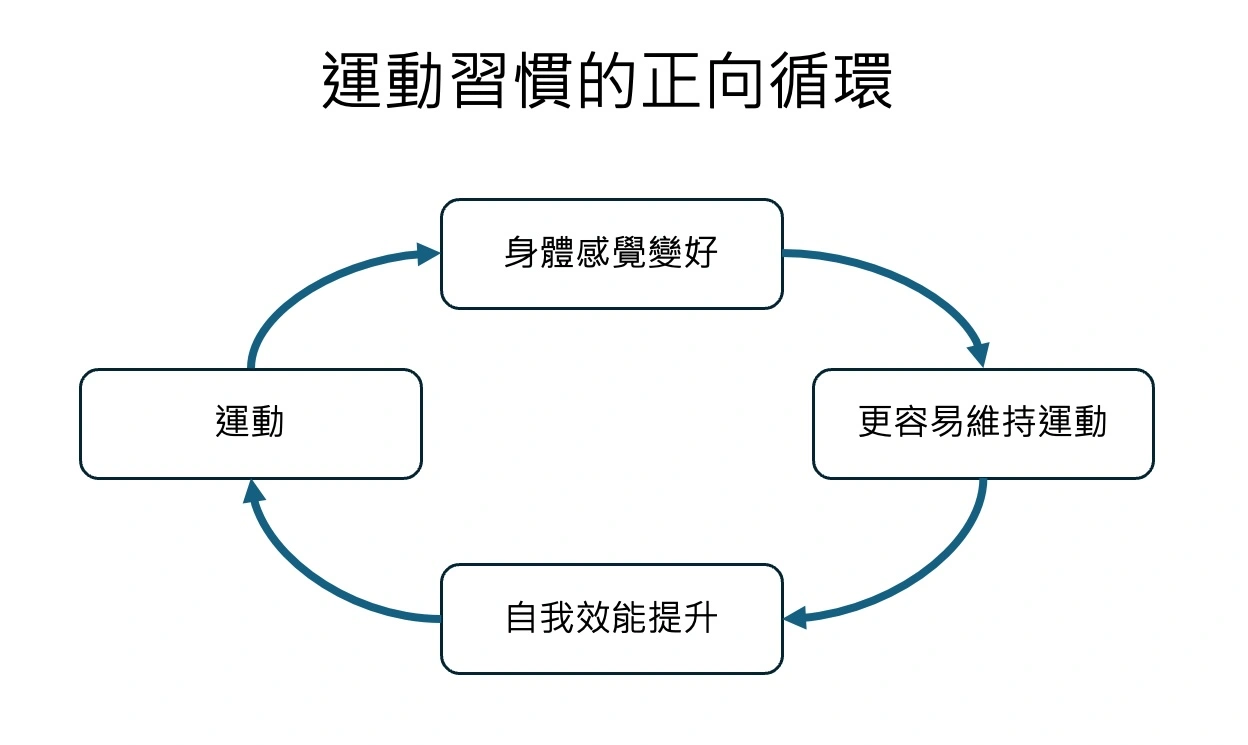 運動習慣建立循環